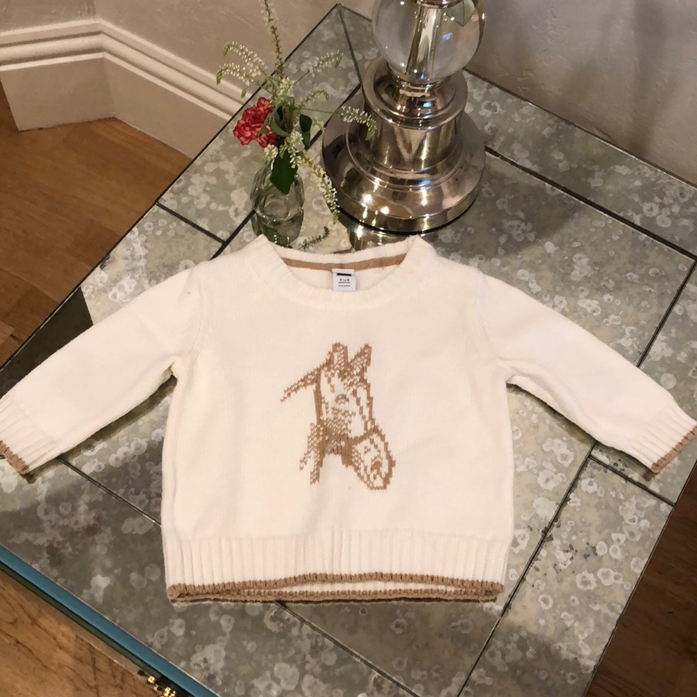 Janie and Jack Sweater